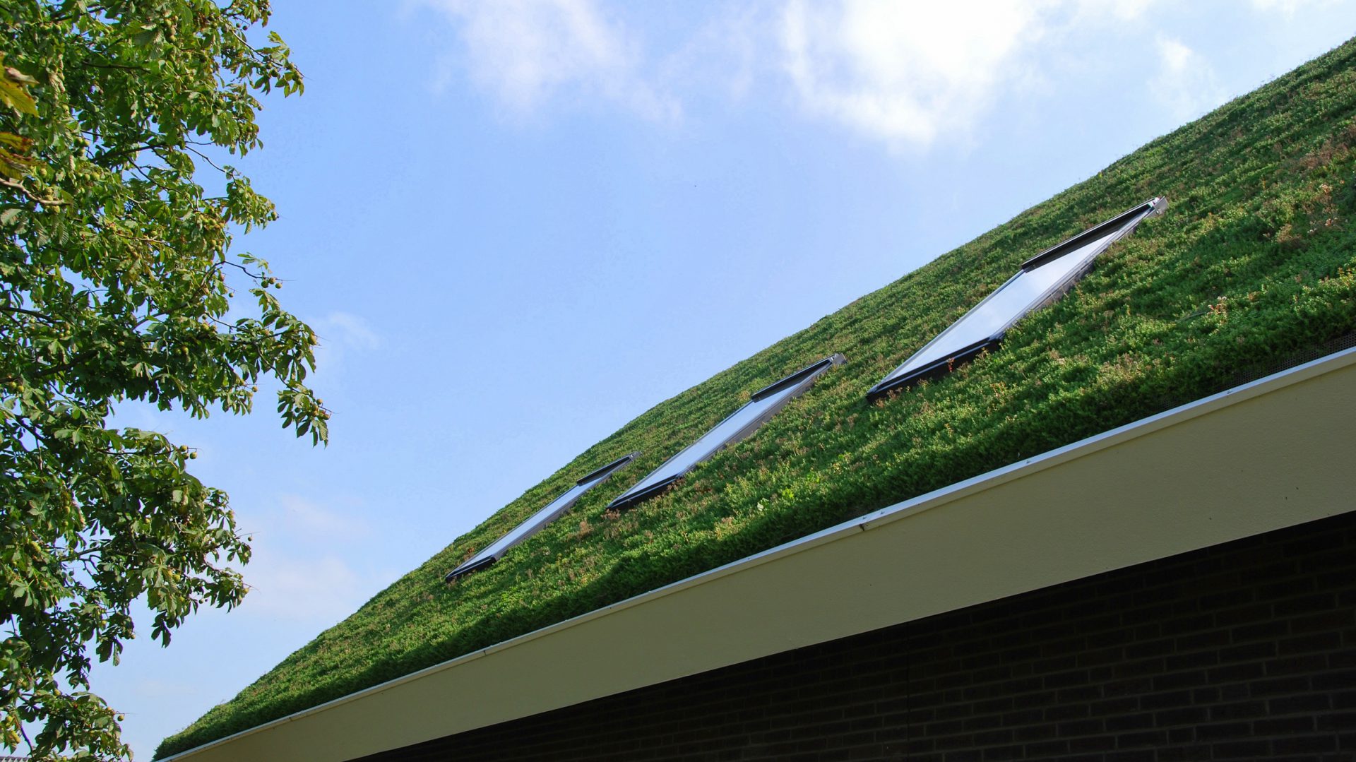 InGroen Daken en Gevels